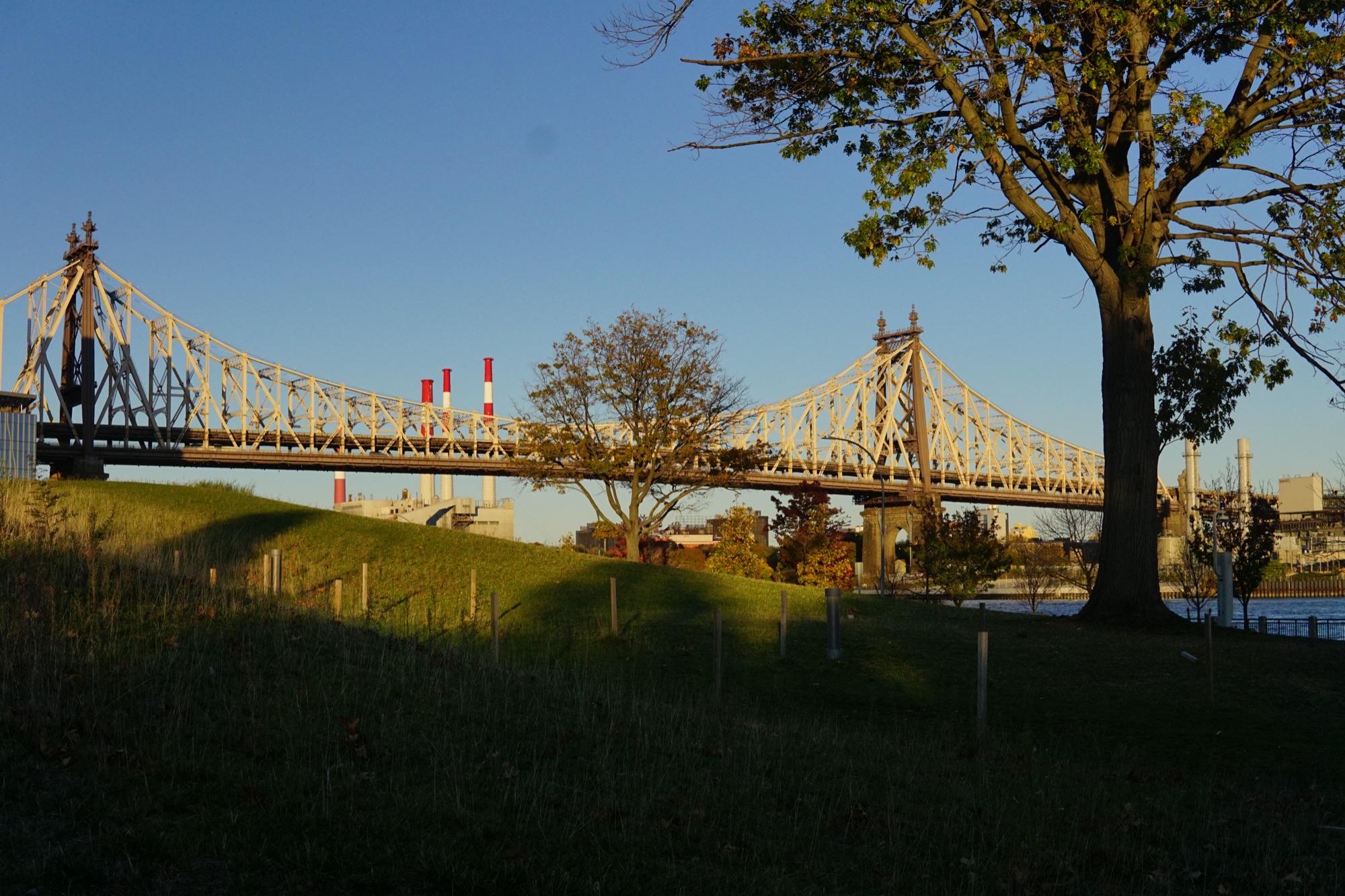 NYC photograph